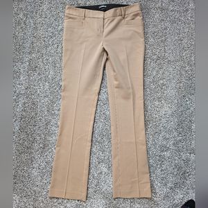 Express Columnist Pant in Tan